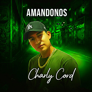 Amandonos