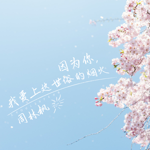 因为你，我爱上这世俗的烟火