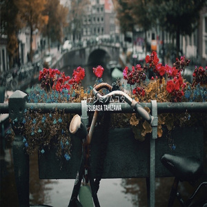 カナシミノムコウ