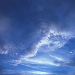 将玫瑰藏于身后