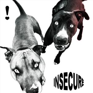 INSECURE