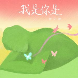 我是你是
