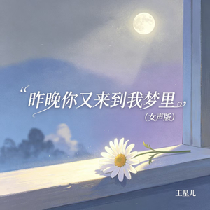 昨晚你又来到我梦里(女声版)