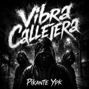 Vibra Callejera