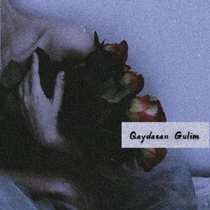 Qaydasan Gulim