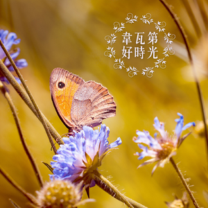 大键琴协奏曲（佚名，18）第二乐章：慢板