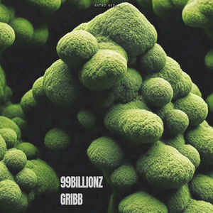 GRIBB