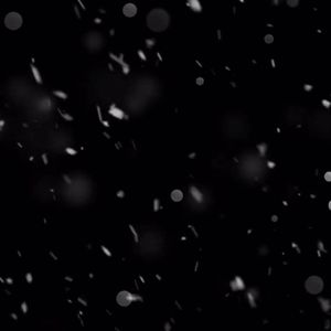 同样我的电话你不要再打（从此我们互为过客）