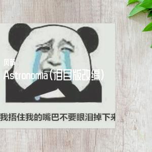 Vicetone-史上最悲伤黑人抬棺改编（风筝 remix）