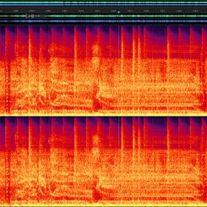 Neurotropic Desperation
