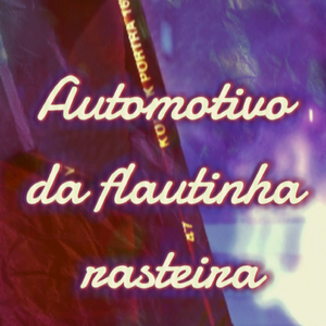 Automotivo da flautinha rasteira