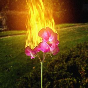 im rare (feat. lushidemi)