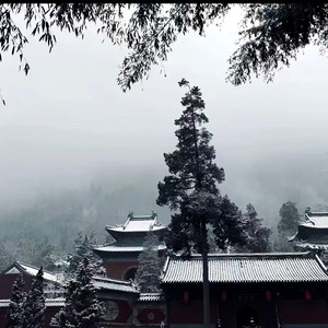 大道无为心亦空