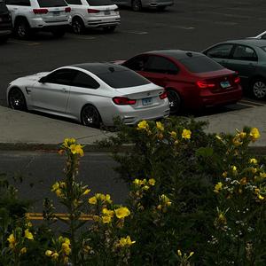 Miss Her (feat. Websta)