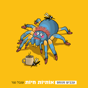 עכביש מנומס