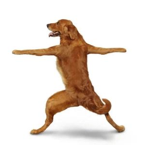 永痕的枷锁 伴奏