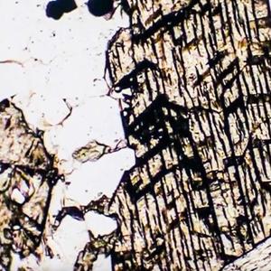 被篡改的神话（Demo)