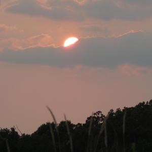 Toy (feat. Taylor Beth)