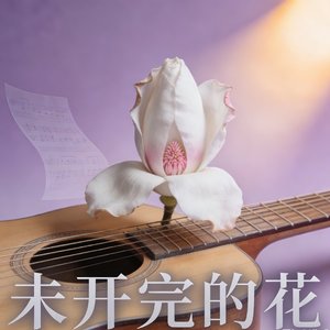 未开完的花.wav