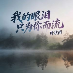 我的眼泪只为你而流(伴奏)