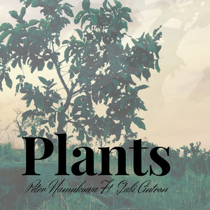 Plants