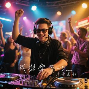 我想你了-DJ (Cover 海来阿木)
