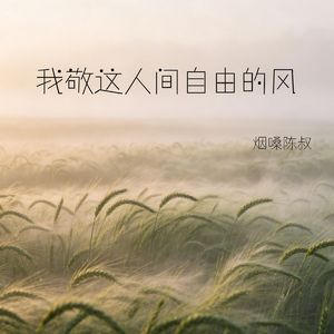 我敬这人间自由的风