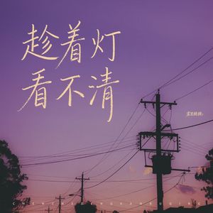 趁着灯看不清