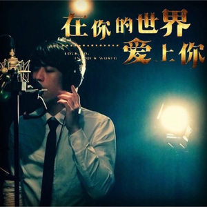 在你的世界愛上你