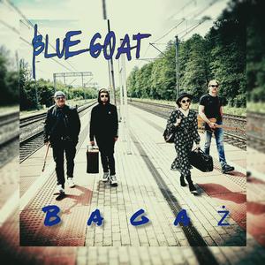 Bagaż