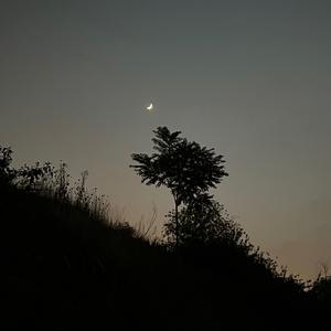 暗恋过结局呢（翻自 新街口组合）