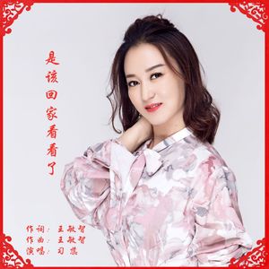 是该回家看看了-伴奏