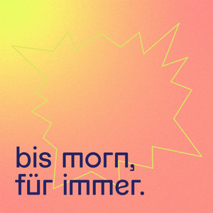 I ha bizli müesse brüele zmizt inre Stand-Up-Comedyshow