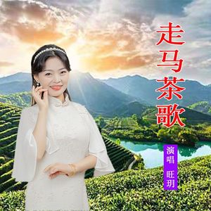 走马茶歌 伴奏