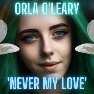 Never My Love (feat. Jim Grim Reaper)