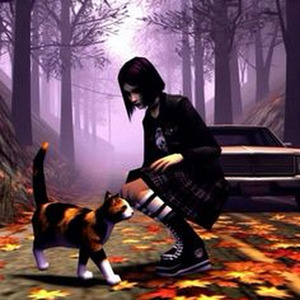 flameness maplesoft