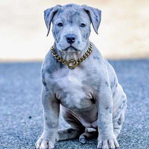 Reroute (feat. Mr.Nonchalant)