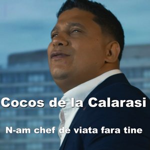 N-am chef de viata fara tine