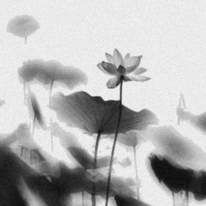 大鱼（填翻）-花开半夏广播剧主题曲