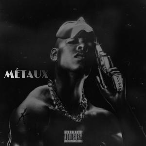 Métaux