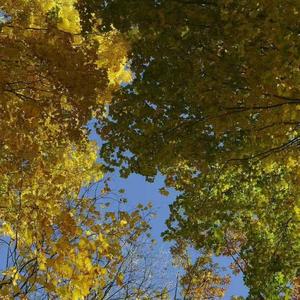 还不如我们从没有遇见