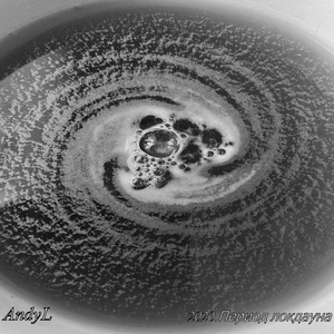 Даме, которая спросила, почему я весной уезжаю из Англии