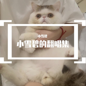 想自由
