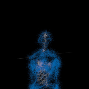 พัง (พอได้แล้ว)