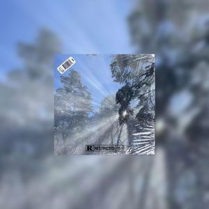 免费可商用 | 吉他旋律X Blxst类型伴奏 - "选择"