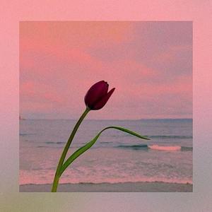 强人所难（温柔男声版）