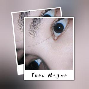 Teri Nazar
