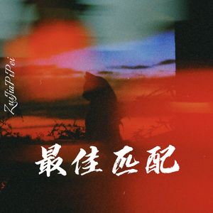 最佳匹配