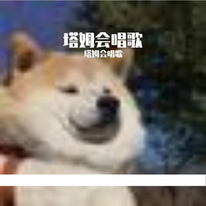 风舞阳光律动时