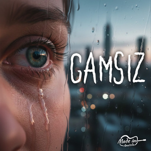 Gamsız